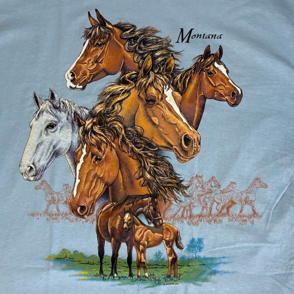 Vintage Anvil Men’s Size 2X Montana Blue Horse Graphic Tee Shirt Western Classic - Picture 6 of 6